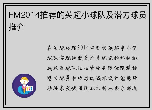 FM2014推荐的英超小球队及潜力球员推介